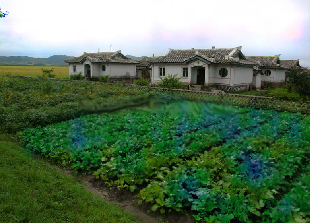 Bauernhäuser in Nordkorea